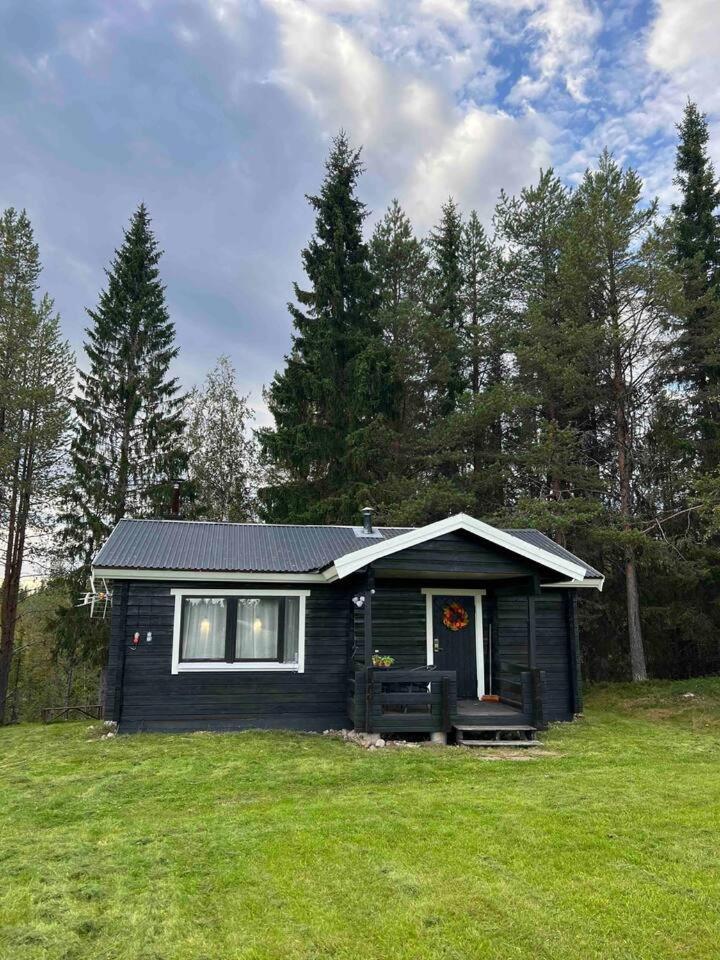 Gemuetliches Blockhaus Im Wald Villa Auktsjaur Exterior photo